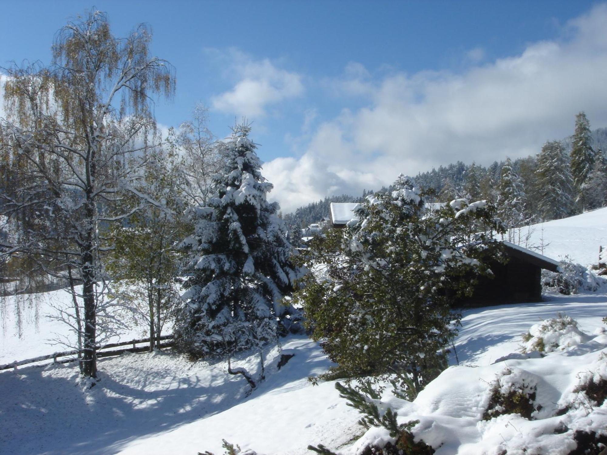 Frenes Seefeld in Tirol